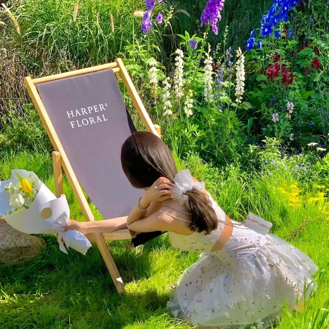 康熙微服私访记3